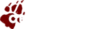 Logo of Cerealsoup Wikia