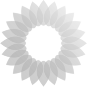 Logo of B-NASCAR Wiki