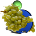 Thumbnail for version as of 16:49, 26 January 2014