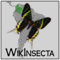 Thumbnail for version as of 21:07, 2 October 2014