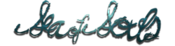 Logo of Sea of Souls Wiki