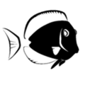 Thumbnail for version as of 20:54, 2 October 2014