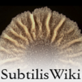 Thumbnail for version as of 15:42, 4 January 2014