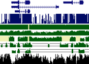 Logo of Genomewiki