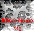 Thumbnail for version as of 14:03, 27 January 2013
