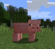 Logo of A saga of pigs and kings Wiki