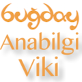 Thumbnail for version as of 12:07, 2 October 2014
