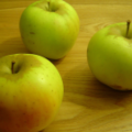 Thumbnail for version as of 14:28, 27 January 2013