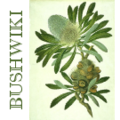 Thumbnail for version as of 16:23, 26 January 2014