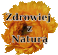 Thumbnail for version as of 12:49, 16 February 2014