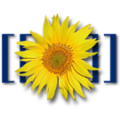 Thumbnail for version as of 05:43, 27 January 2013