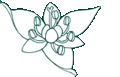 Thumbnail for version as of 22:19, 10 March 2015