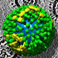 Thumbnail for version as of 14:16, 4 April 2014