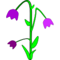 Thumbnail for version as of 00:15, 24 November 2013
