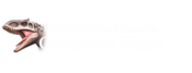 Logo of Davidchannel and Spoofers Crossover Films Wiki