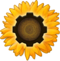 Thumbnail for version as of 16:09, 17 January 2013