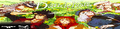 Thumbnail for version as of 10:35, 8 March 2022