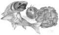Thumbnail for version as of 12:14, 2 October 2014