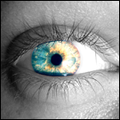 Thumbnail for version as of 11:40, 28 March 2014