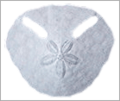 Thumbnail for version as of 22:51, 26 January 2013