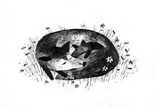 Logo of Pax (Sara Pennypacker) Wiki