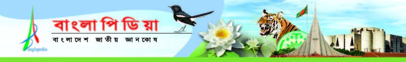 File:Banglapedia Bengali.jpg