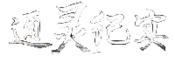 Logo of ATG Test Grounds Wiki