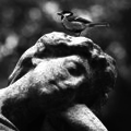 Thumbnail for version as of 13:33, 27 January 2013