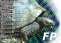 Thumbnail for version as of 12:17, 23 January 2013