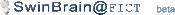 Logo of SwinBrain