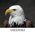 Thumbnail for version as of 10:33, 6 April 2013