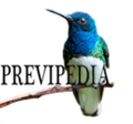Thumbnail for version as of 10:30, 21 March 2016