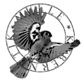 Thumbnail for version as of 14:19, 27 January 2013