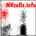 Thumbnail for version as of 15:25, 28 March 2014