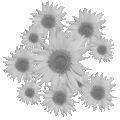 Thumbnail for version as of 15:39, 4 April 2021