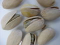 Thumbnail for version as of 14:32, 5 January 2014