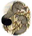 Thumbnail for version as of 18:14, 2 October 2014