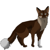 Logo of Claws and Whisker Role Play Wiki