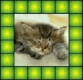 Thumbnail for version as of 21:57, 2 October 2014