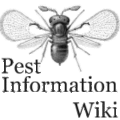 Thumbnail for version as of 20:22, 11 January 2013