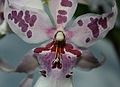 Thumbnail for version as of 21:56, 3 September 2015