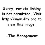Logo of HvWiki