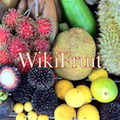 Thumbnail for version as of 19:54, 9 June 2014