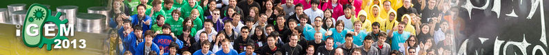 File:IGEM 2013 Logo.jpg