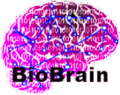 Thumbnail for version as of 12:39, 2 October 2014