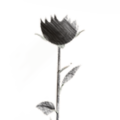 Thumbnail for version as of 15:23, 4 April 2014