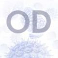 Thumbnail for version as of 13:12, 12 July 2013
