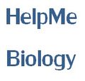 Thumbnail for version as of 16:28, 26 January 2014