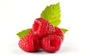 Logo of RaspBerry Pi Info