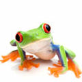 Thumbnail for version as of 13:03, 27 January 2013
